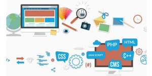 Lập trình web và thiết kế web có mối quan hệ như thế nào?