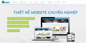 Styles Software - Đơn vị thiết kế Website giàu kinh nghiệm