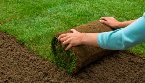 Đội ngũ nhân viên tận tâm, chuyên nghiệp