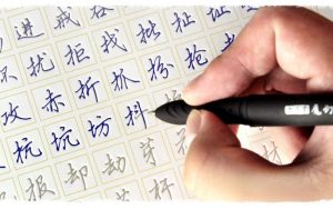 luyện tập viết chữ trên giấy ô ly