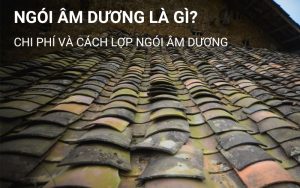 ngói âm dương là gì