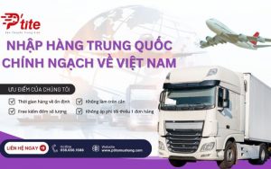 công ty ptite logistics