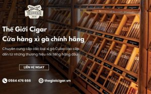 cửa hàng xì gà chính hãng uy tín thegioicigar