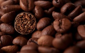 các thành phần của xì gà là gì