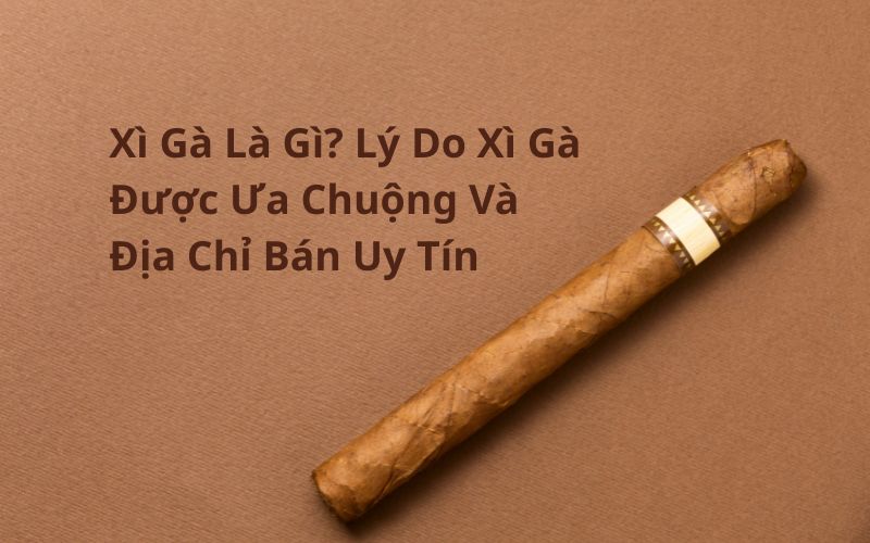 xì gà là gì
