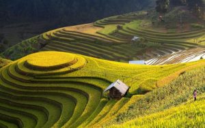 du lịch Hà Giang tháng 5 có gì đẹp